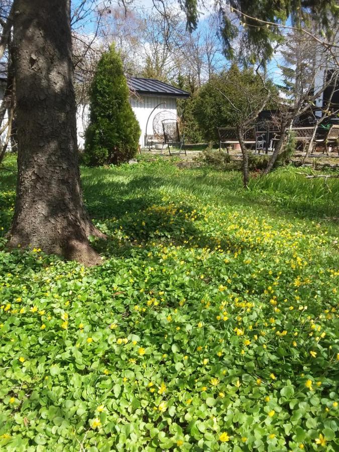 Tuule Villa Kuressaare Luaran gambar